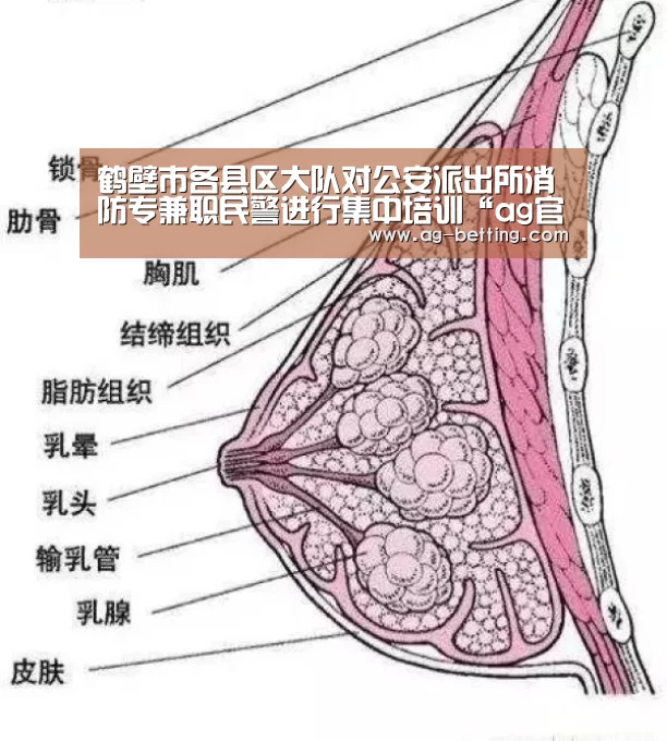 ag真人赌场