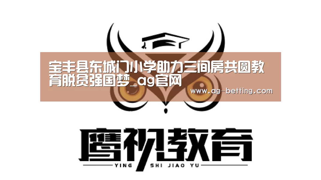 宝丰县东城门小学助力三间房共圆教育脱贫强国梦_ag官网