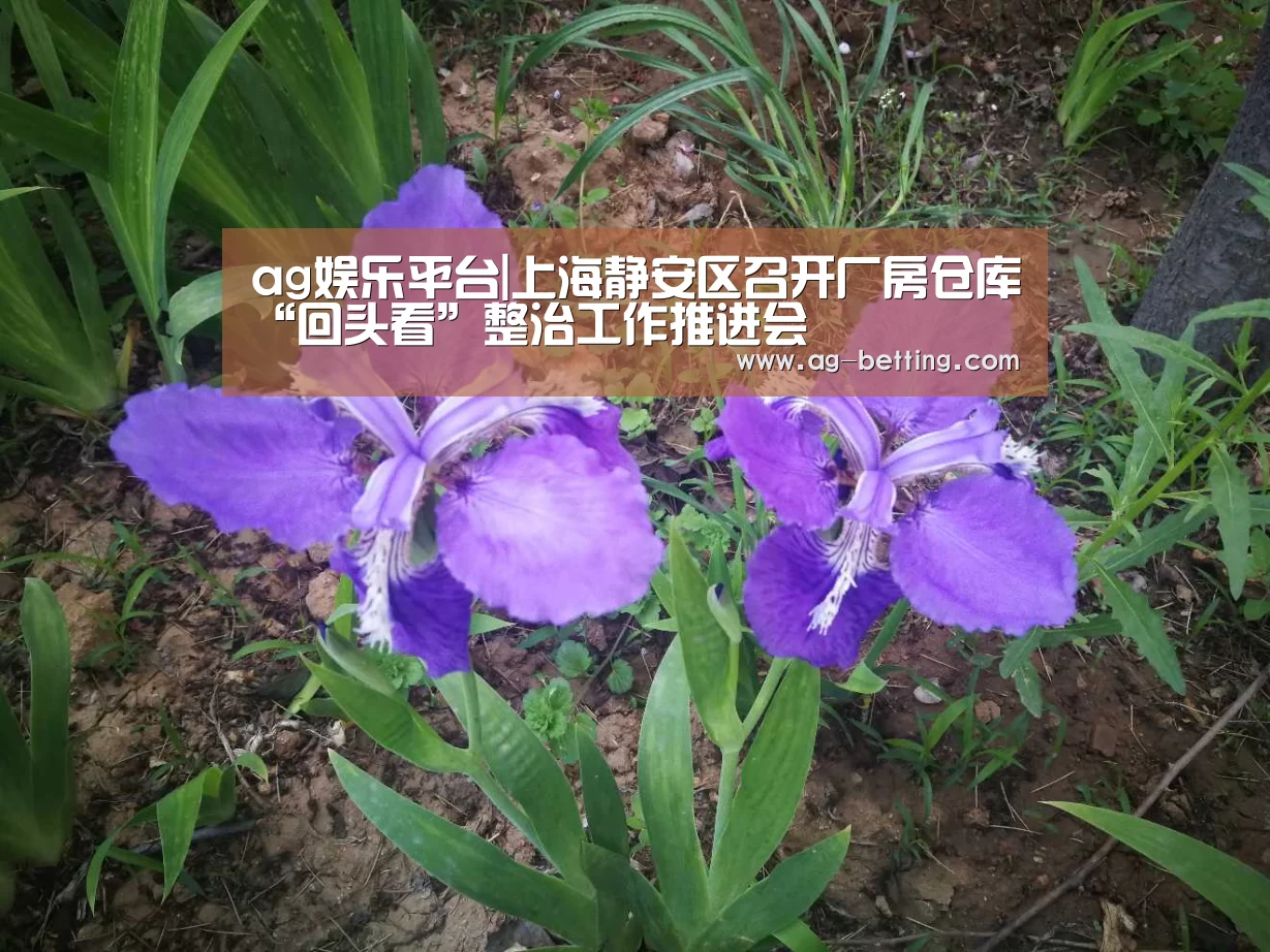 ag真人赌场